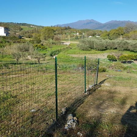 Villetta Nel Verde Ascea Buitenkant foto