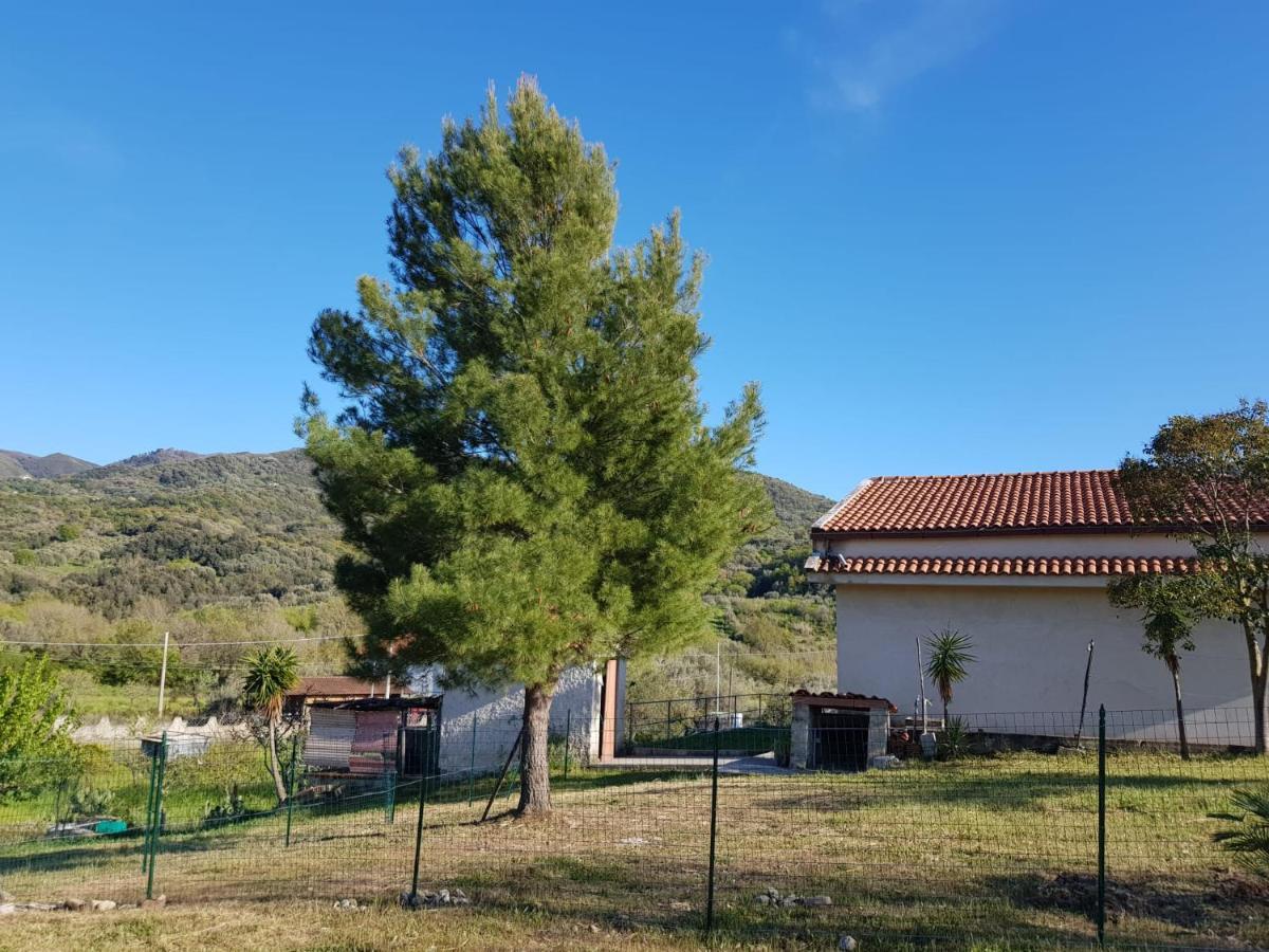 Villetta Nel Verde Ascea Buitenkant foto