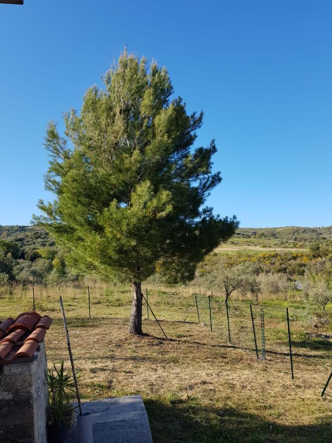 Villetta Nel Verde Ascea Buitenkant foto