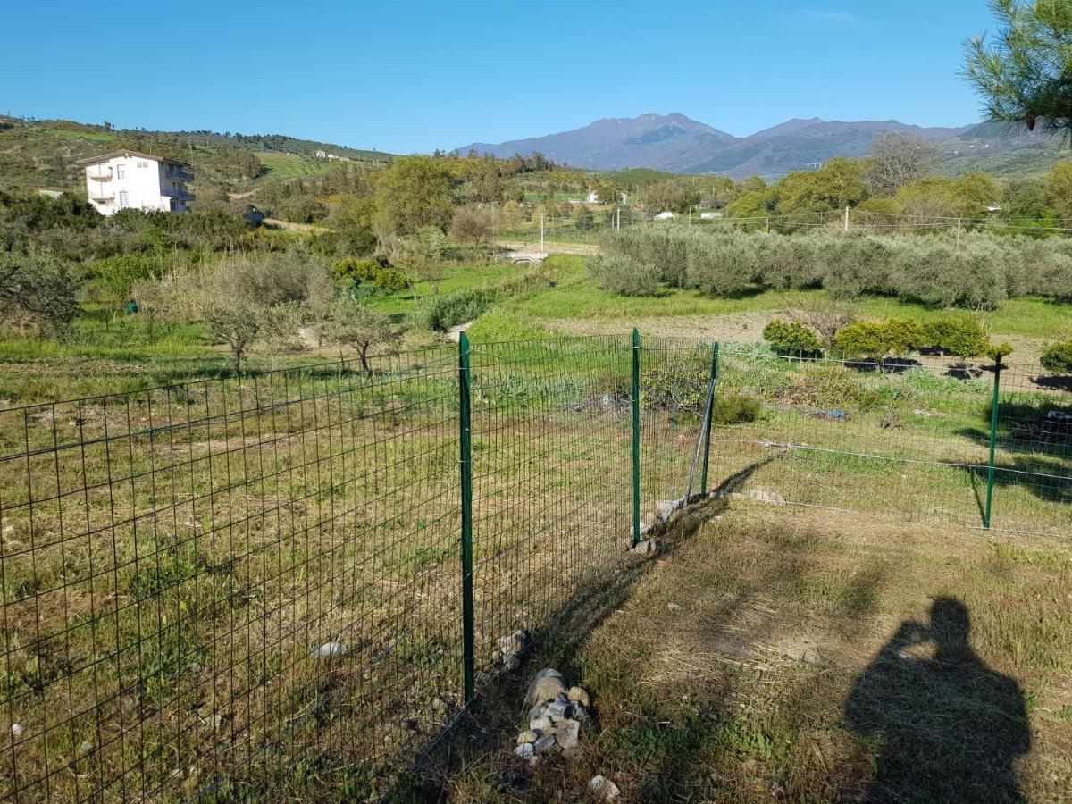 Villetta Nel Verde Ascea Buitenkant foto